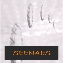 SEENAES